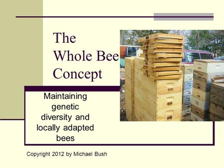 The Whole Bee Concept Maintaining genetic diversity and locally adapted bees Copyright 2012 by Michael Bush.