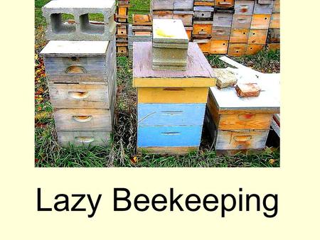 Lazy Beekeeping.