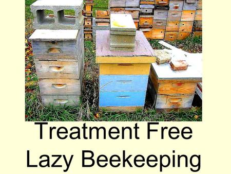 Treatment Free Lazy Beekeeping