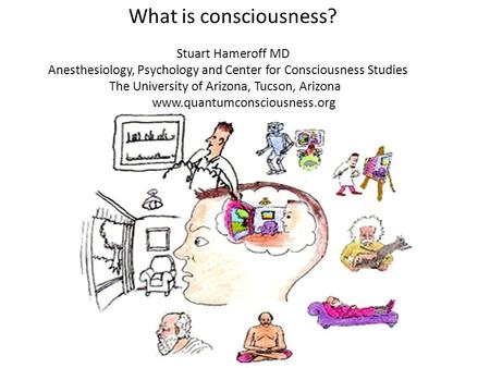 What is consciousness? Stuart Hameroff MD