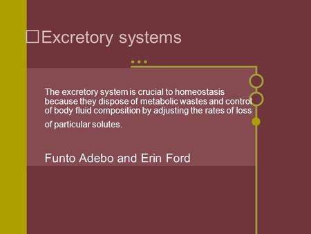 Excretory systems Funto Adebo and Erin Ford