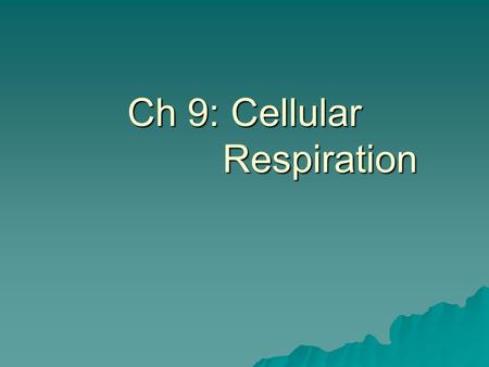 Ch 9: Cellular Respiration