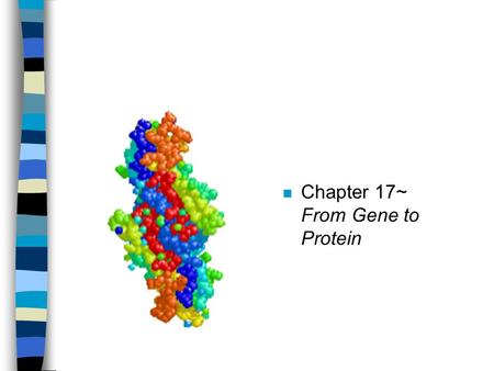 Chapter 17~      From Gene to Protein
