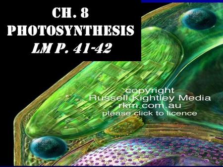 Ch. 8 Photosynthesis LM p. 41-42. ENERGY & LIFE Autotrophs get energy they need to produce food from the sun (or a light source) ATP stores energy for.