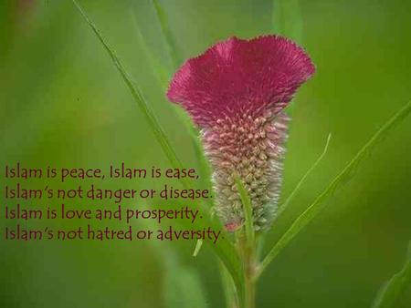 Islam is peace, Islam is ease, Islam's not danger or disease. Islam is love and prosperity. Islam's not hatred or adversity.