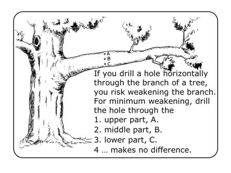 If you drill a hole horizontally through the branch of a tree, you risk weakening the branch. For minimum weakening, drill the hole through the Ch 12-1.
