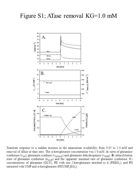 Figure S1; ATase removal KG=1.0 mM Transient response to a sudden increase in the ammonium availability from 0.05 to 1.0 mM and removal of ATase at time.