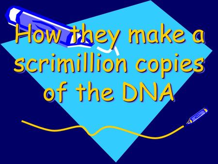 How they make a scrimillion copies of the DNA Amplification Capillary Electrophereses Interpretation.