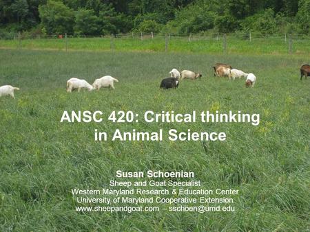 ANSC 420: Critical thinking in Animal Science