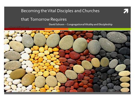Becoming the Vital Disciples and Churches that Tomorrow Requires David Schoen – Congregational Vitality and Discipleship