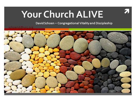 Your Church ALIVE David Schoen – Congregational Vitality and Discipleship