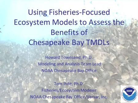 Using Fisheries-Focused Ecosystem Models to Assess the Benefits of Chesapeake Bay TMDLs Howard Townsend, Ph.D. Modeling and Analysis Team Lead NOAA Chesapeake.
