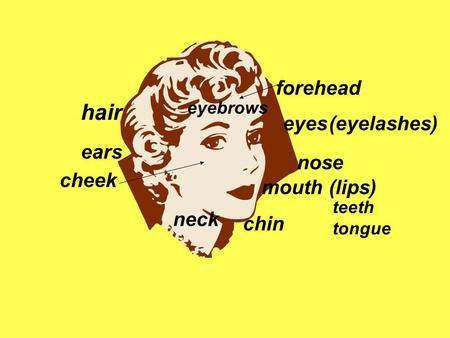 hair forehead eyes (eyelashes) ears nose cheek mouth (lips) neck chin