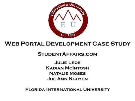 Web Portal Development Case Study StudentAffairs.com Julie Leos Kadian McIntosh Natalie Moses Joe-Ann Nguyen Florida International University.