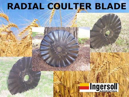 RADIAL COULTER BLADE.