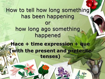 Hace + time expression + que (with the present and preterite tenses)