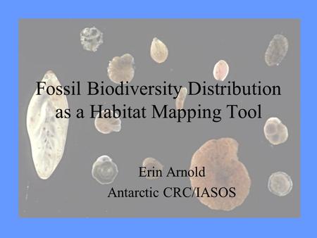 Fossil Biodiversity Distribution as a Habitat Mapping Tool Erin Arnold Antarctic CRC/IASOS.