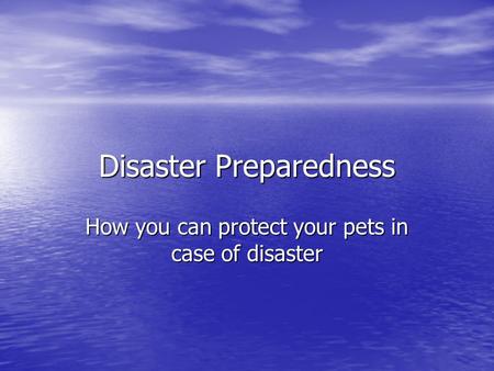 Disaster Preparedness How you can protect your pets in case of disaster.