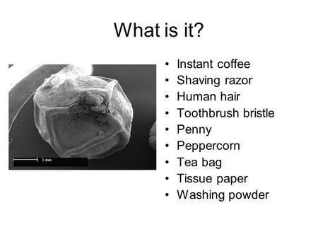 What is it? Instant coffee Shaving razor Human hair Toothbrush bristle Penny Peppercorn Tea bag Tissue paper Washing powder.