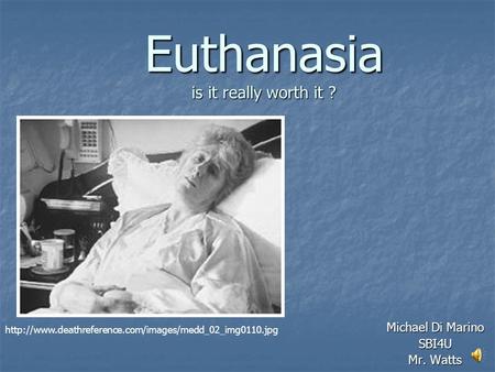 Euthanasia is it really worth it ? Michael Di Marino SBI4U Mr. Watts