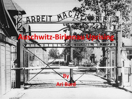 Auschwitz-Birkenau Uprising By Ari Bard. Background of Auschwitz-Birkenau Auschwitz-Birkenau was considered the most notorious death camp in the Third.