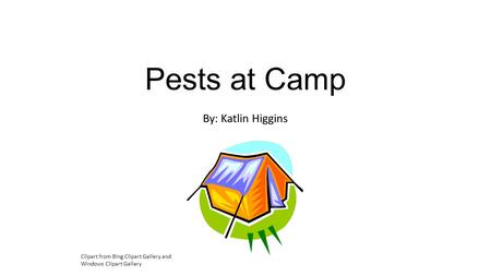 Pests at Camp By: Katlin Higgins Clipart from Bing Clipart Gallery and Windows Clipart Gallery.