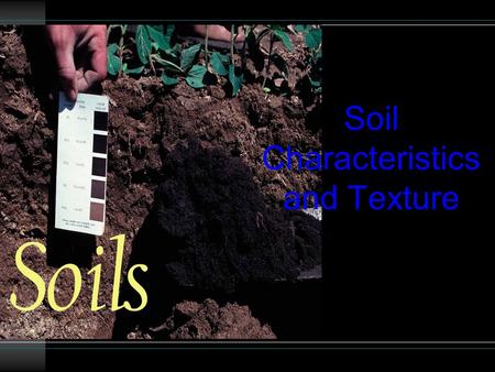 Soil Characteristics and Texture