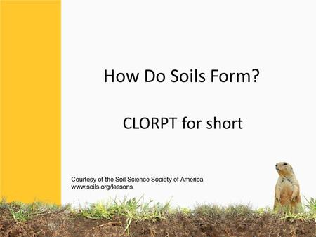 How Do Soils Form? CLORPT for short