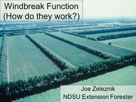 Windbreak Function (How do they work?) Joe Zeleznik NDSU Extension Forester.