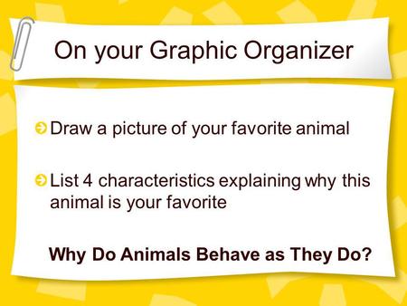 On your Graphic Organizer Draw a picture of your favorite animal List 4 characteristics explaining why this animal is your favorite Why Do Animals Behave.