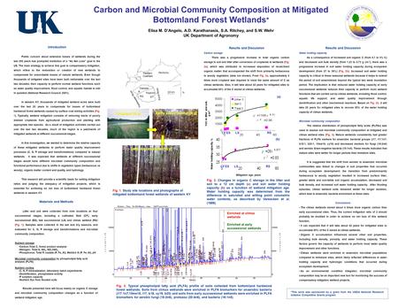 Carbon and Microbial Community Composition at Mitigated Bottomland Forest Wetlands * Elisa M. D’Angelo, A.D. Karathanasis, S.A. Ritchey, and S.W. Wehr.