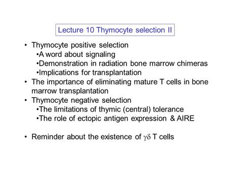 Lecture 10 Thymocyte selection II