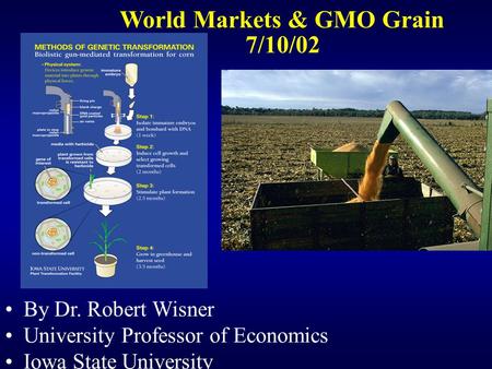 World Markets & GMO Grain 7/10/02 By Dr. Robert Wisner University Professor of Economics Iowa State University.