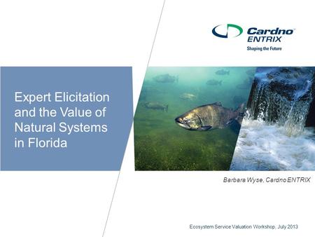 Ecosystem Service Valuation Workshop, July 2013 C Expert Elicitation and the Value of Natural Systems in Florida Barbara Wyse, Cardno ENTRIX.
