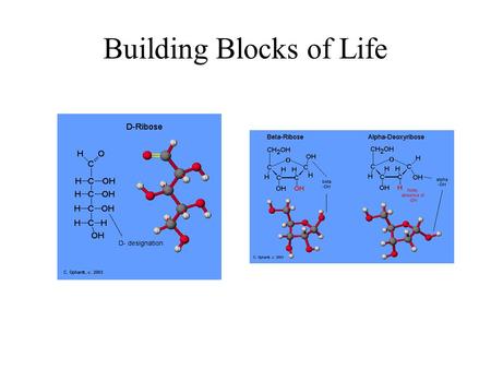 Building Blocks of Life. Most Important Chemical Consideration of Sugars Consider the anomeric carbon! The aldehyde on the one position can be nucleophilically.