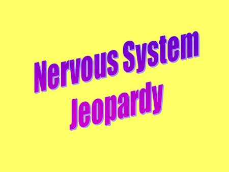 Nervous System Jeopardy.