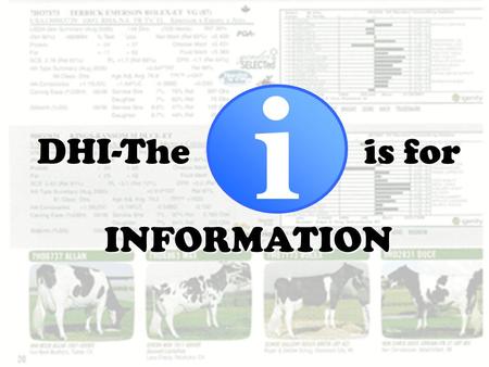 DHI-The is for INFORMATION i. Mission Statement “To serve National DHIA members and the dairy industry in advancing dairy information services.” Vision.
