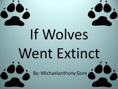 If Wolves Went Extinct By: Michaelanthony Gore Wolf Facts The wolf is at the top of the food chain because it is a fierce predator. A wolf eats about.
