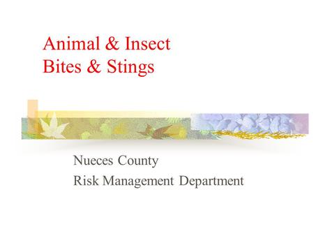 Animal & Insect Bites & Stings Nueces County Risk Management Department.