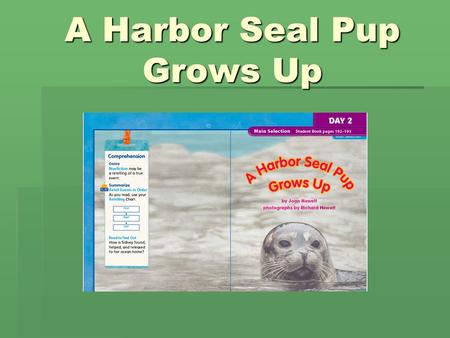 A Harbor Seal Pup Grows Up. examines  When a person examines something, she looks at it carefully.  He examines the toy to see if it is broken.  Name.