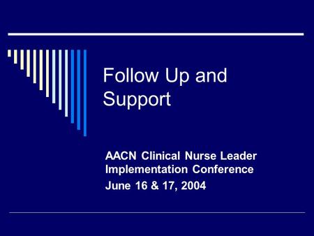 Follow Up and Support AACN Clinical Nurse Leader Implementation Conference June 16 & 17, 2004.