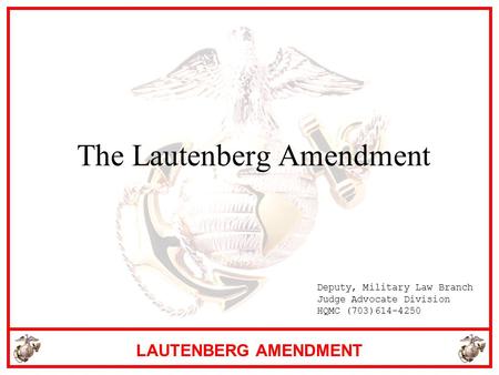 The Lautenberg Amendment