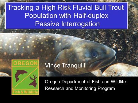 Title Tracking a High Risk Fluvial Bull Trout Population with Half-duplex Passive Interrogation Vince Tranquilli Oregon Department of Fish and Wildlife.