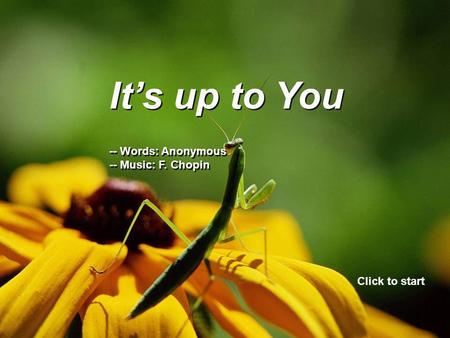 It’s up to You -- Words: Anonymous -- Music: F. Chopin It’s up to You -- Words: Anonymous -- Music: F. Chopin Click to start.