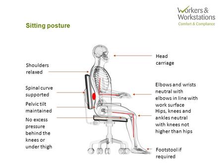 Sitting posture Head carriage Spinal curve supported Pelvic tilt maintained Shoulders relaxed Elbows and wrists neutral with elbows in line with work surface.