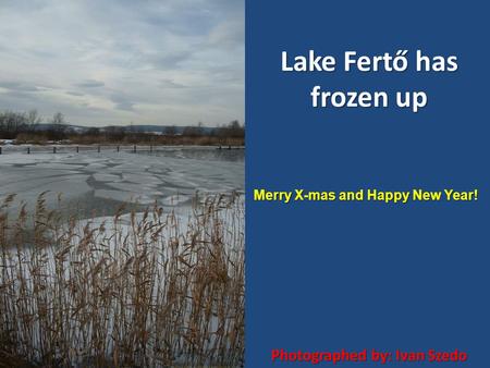 Lake Fertő has frozen up Photographed by: Ivan Szedo Merry X-mas and Happy New Year!
