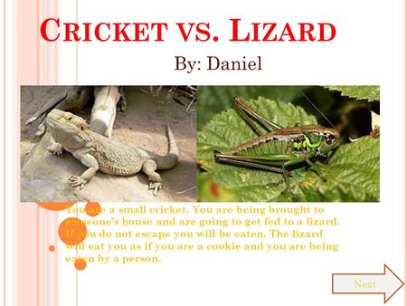 C RICKET VS. L IZARD You are a small cricket. You are being brought to someone’s house and are going to get fed to a lizard. If you do not escape you.