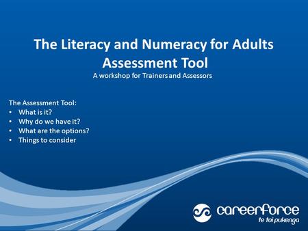 The Literacy and Numeracy for Adults Assessment Tool The Assessment Tool: What is it? Why do we have it? What are the options? Things to consider A workshop.