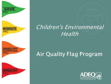 Children's Environmental Health Air Quality Flag Program.