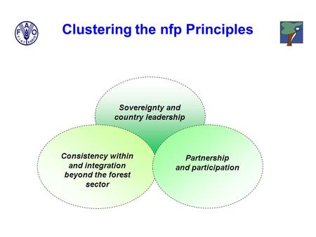 Sovereignty and country leadership Consistency within and integration beyond the forest sector Partnership and participation Clustering the nfp Principles.